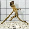 Spiderwood 117