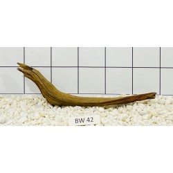 Bogwood 42