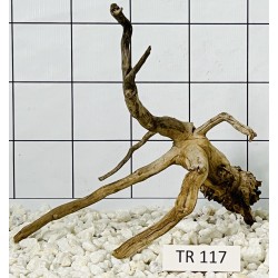 Spiderwood 117