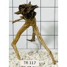 Spiderwood 117