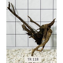 Spiderwood 118