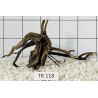 Spiderwood 118