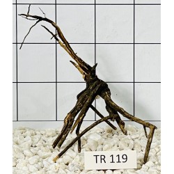 Spiderwood 119
