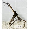 Spiderwood 119