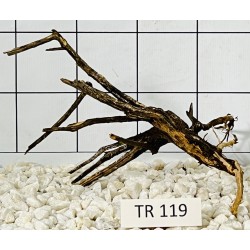 Spiderwood 119