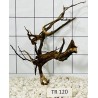 Spiderwood 120