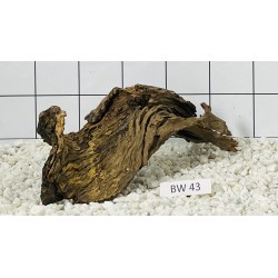 Bogwood 43