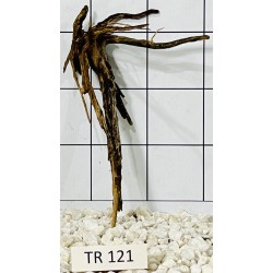 Spiderwood 121