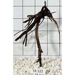 Spiderwood 122
