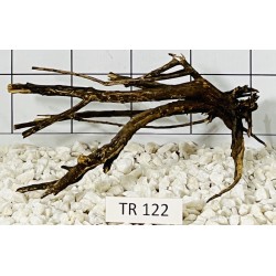 Spiderwood 122