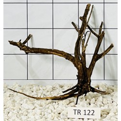 Spiderwood 122