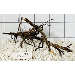 Spiderwood 123