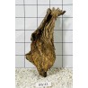 Bogwood 43