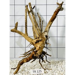 Spiderwood 125