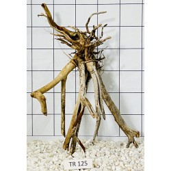Spiderwood 125