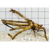 Spiderwood 125