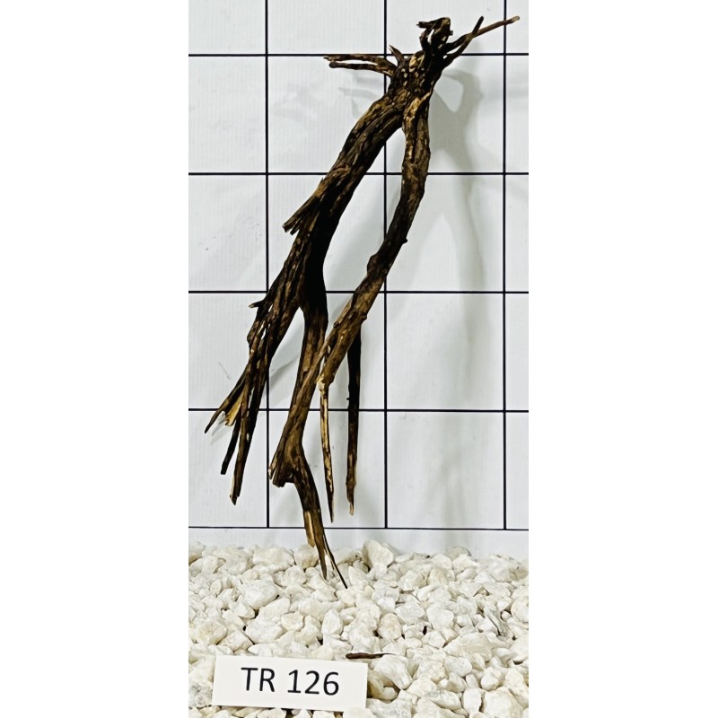 Spiderwood 126