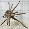 Spiderwood 127