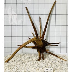 Spiderwood 127
