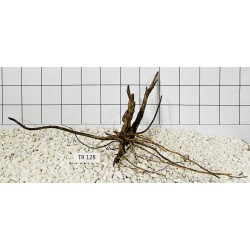 Spiderwood 128
