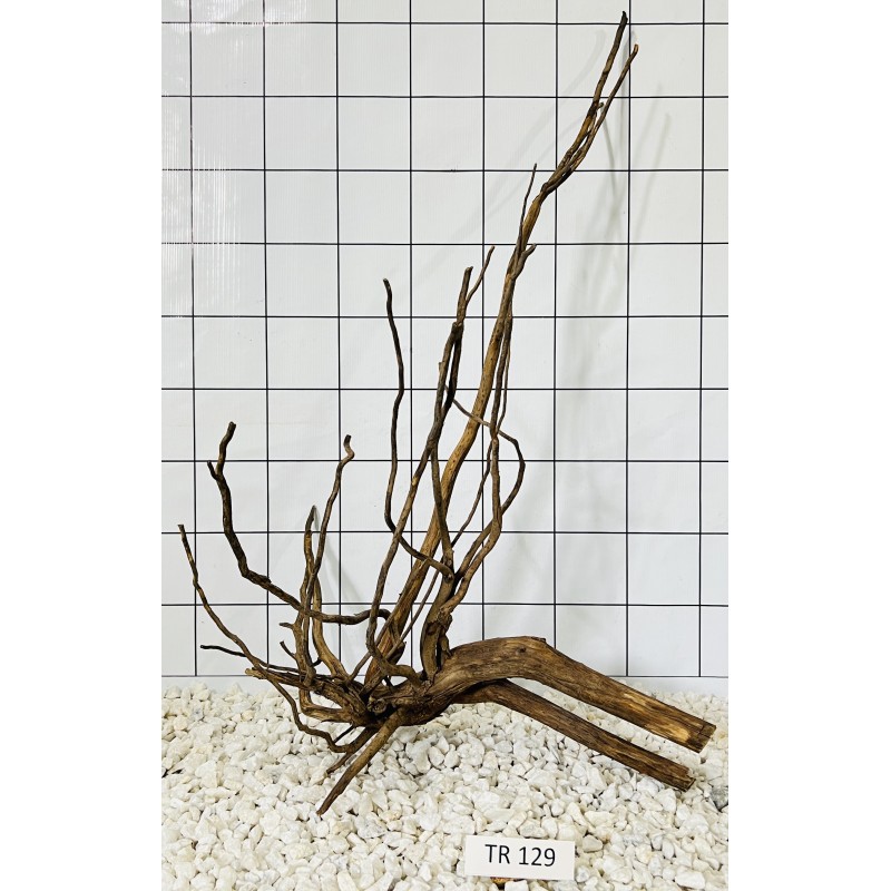 Spiderwood 129