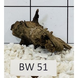 Bogwood 51
