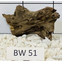 Bogwood 51