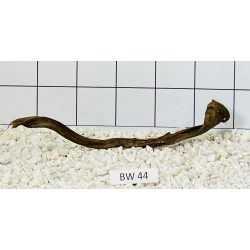 Bogwood 44