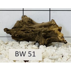 Bogwood 51