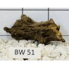 Bogwood 51