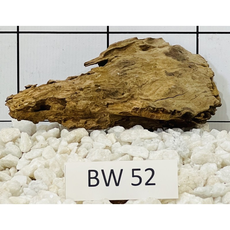 Bogwood 52