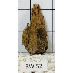 Bogwood 52