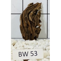 Bogwood 53