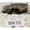 Bogwood 53