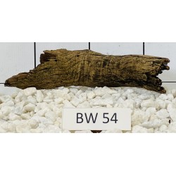 Bogwood 54