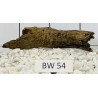 Bogwood 54