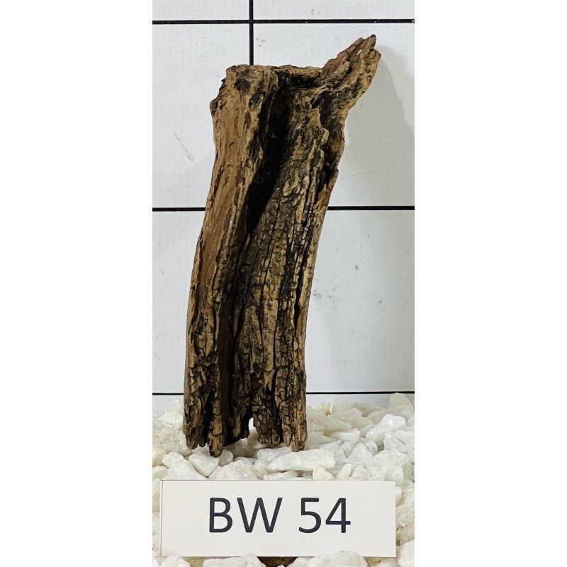 Bogwood 54