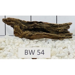 Bogwood 54