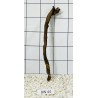 Bogwood 44