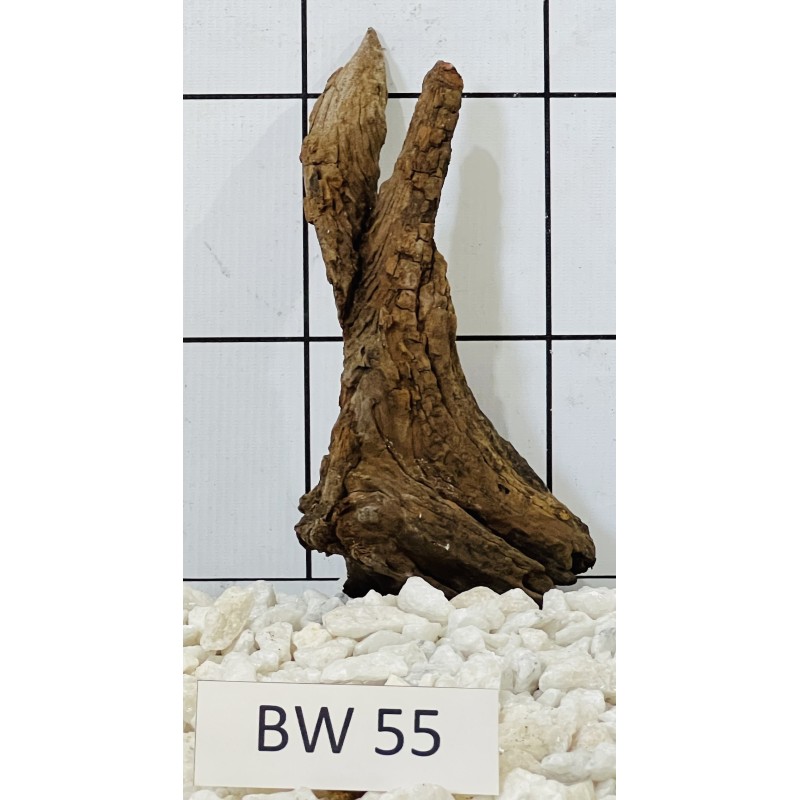 Bogwood 55