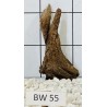 Bogwood 55