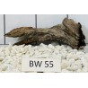 Bogwood 55