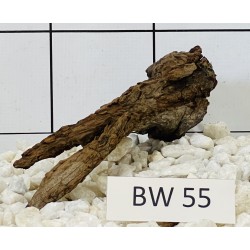 Bogwood 55