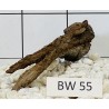 Bogwood 55