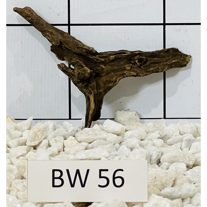 Bogwood 56