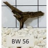 Bogwood 56