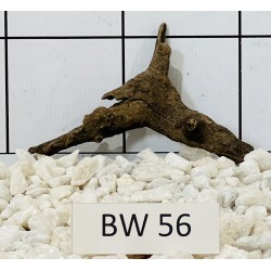 Bogwood 56