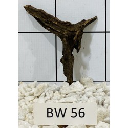 Bogwood 56