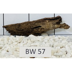 Bogwood 57