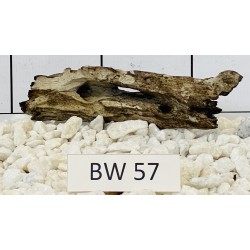 Bogwood 57